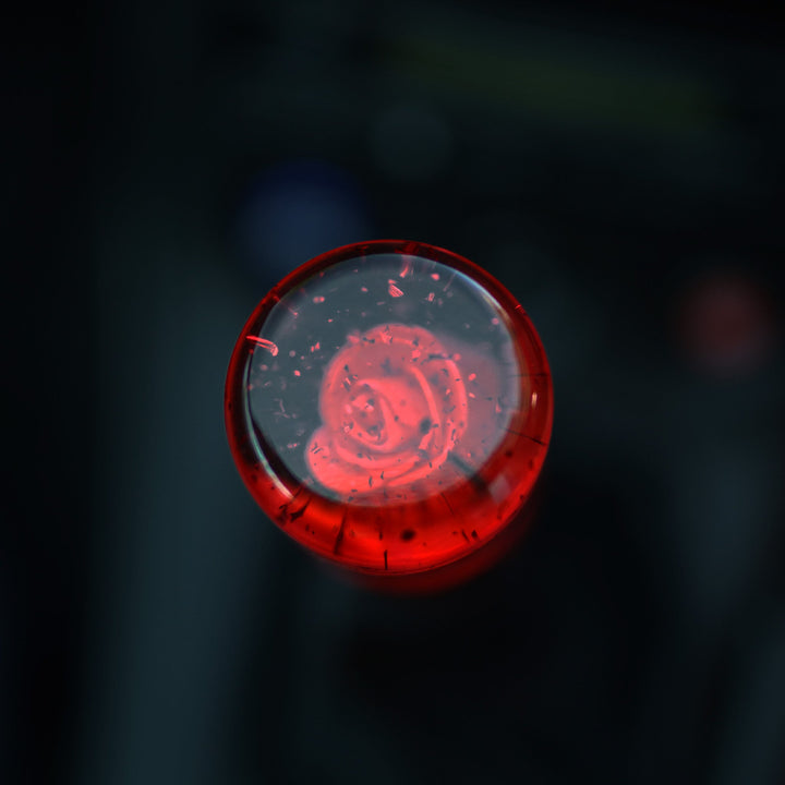Shift Knob - Sparkling Roses (Red) - Happy Endings - Automotive & Lifestyle Brand