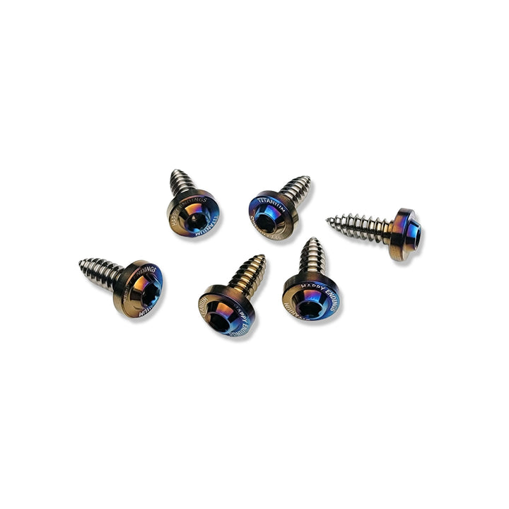 Titanium - Dress Up Screws - Happy Endings - Automotive & Lifestyle Brand